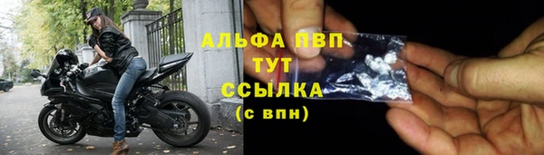 дживик Баксан
