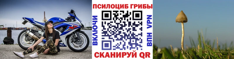 хочу наркоту  Сольвычегодск  сайты даркнета телеграм  Галлюциногенные грибы мухоморы 